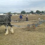 64 Campeonato Mundial de Arada 2016, York (Inglaterra)