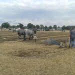 64 Campeonato Mundial de Arada 2016, York (Inglaterra)