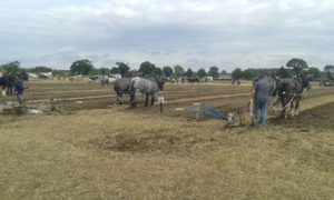 64 Campeonato Mundial de Arada 2016, York (Inglaterra)