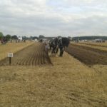 64 Campeonato Mundial de Arada 2016, York (Inglaterra)