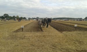 64 Campeonato Mundial de Arada 2016, York (Inglaterra)