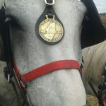 64 Campeonato Mundial de Arada 2016, York (Inglaterra)