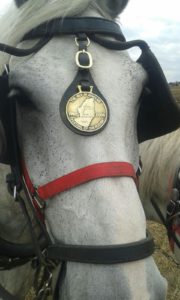 64 Campeonato Mundial de Arada 2016, York (Inglaterra)