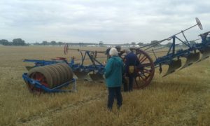 64 Campeonato Mundial de Arada 2016, York (Inglaterra)