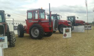 64 Campeonato Mundial de Arada 2016, York (Inglaterra)