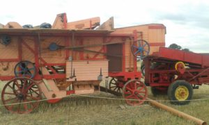 64 Campeonato Mundial de Arada 2016, York (Inglaterra)