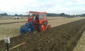 64 Campeonato Mundial de Arada 2016, York (Inglaterra)