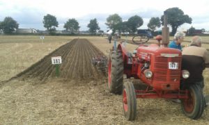 64 Campeonato Mundial de Arada 2016, York (Inglaterra)