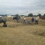 64 Campeonato Mundial de Arada 2016, York (Inglaterra)