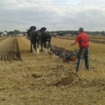 64 Campeonato Mundial de Arada 2016, York (Inglaterra)