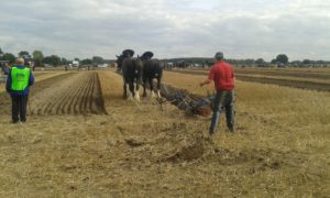 64 Campeonato Mundial de Arada 2016, York (Inglaterra)