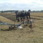 64 Campeonato Mundial de Arada 2016, York (Inglaterra)