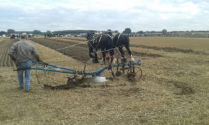 64 Campeonato Mundial de Arada 2016, York (Inglaterra)