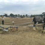 64 Campeonato Mundial de Arada 2016, York (Inglaterra)