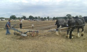 64 Campeonato Mundial de Arada 2016, York (Inglaterra)