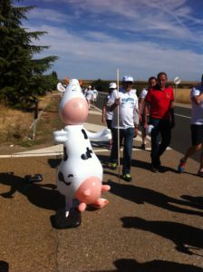 Marcha blanca 03. Ceinos de Campos - Medina de Rioseco