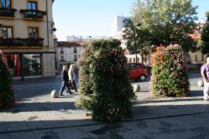 Marcha blanca 01. León-Mansilla