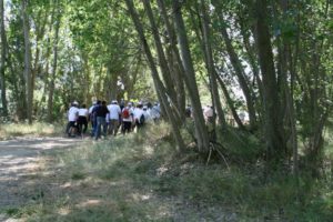 Marcha blanca 01. León-Mansilla