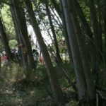 Marcha blanca 01. León-Mansilla