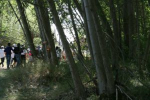 Marcha blanca 01. León-Mansilla