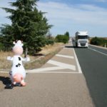 Marcha blanca 03. Ceinos de Campos – Medina de Rioseco