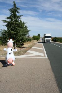 Marcha blanca 03. Ceinos de Campos - Medina de Rioseco
