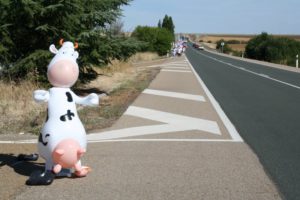 Marcha blanca 03. Ceinos de Campos - Medina de Rioseco