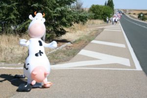 Marcha blanca 03. Ceinos de Campos - Medina de Rioseco