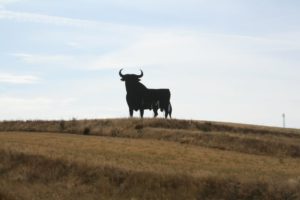 Marcha blanca 09. Sanchidrián - Villacastín
