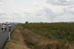 Marcha blanca 09. Sanchidrián - Villacastín