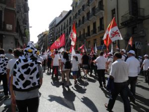Marcha blanca 12. Madrid