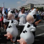 Marcha blanca 12. Madrid