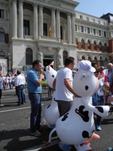 Marcha blanca 12. Madrid
