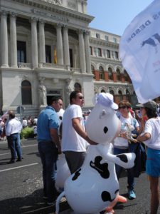 Marcha blanca 12. Madrid