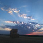 Accésit Cecilia Díez, de 14 años, de Gordaliza de la Loma (Valladolid)