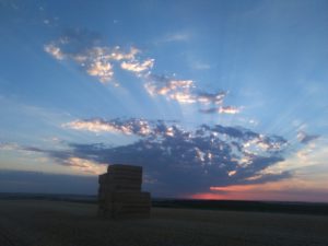 Accésit Cecilia Díez, de 14 años, de Gordaliza de la Loma (Valladolid)
