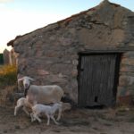 Accésit Nuria Garcinuño Sáez, de 16 años, de Ávila