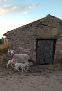 Accésit Nuria Garcinuño Sáez, de 16 años, de Ávila