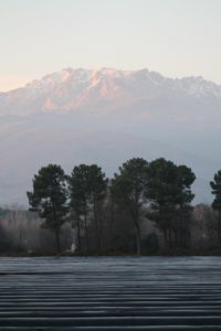 Belén Montesinos Moreno, de 15 años, de Candeleda (Ávila). Accésit