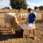 Sergio Montero Rodríguez