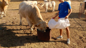 Agricultura familiar