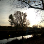 Canal de Castilla y León