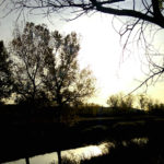 Canal de Castilla y León