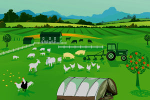 Prevención de riesgos