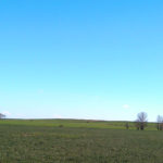 La burbuja en los precios de la tierra Tierra de Campos en Palencia