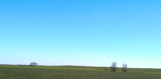 El FEGA finaliza la asignación de la reserva nacional de la ayuda básica a la renta de la campaña 2025 Tierra de Campos en Palencia