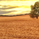 Próximos cursos Campo provincia Palencia