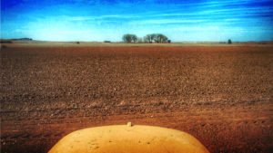 Campo provincia Palencia