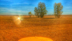 Campo provincia Palencia