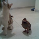 Premio: Miguel Machín Fernández